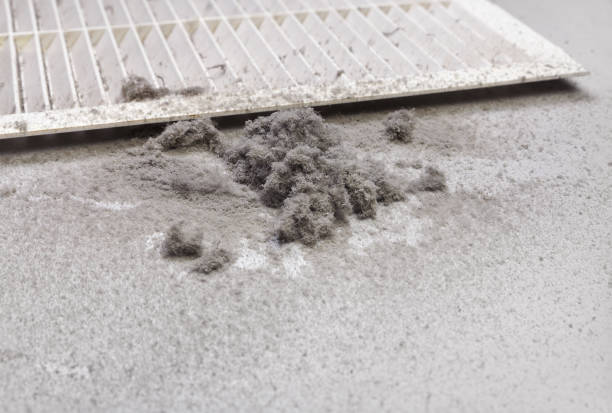 Best HVAC Air Duct Cleaning  in Lake Ssota, WI